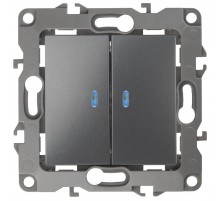 Выключатель двойной с подсветкой 12-1105-12 , 10АХ-250В,  графит  Б0019291  ЭРА