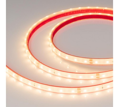 Лента светодиодная герметичная RTW-PFS-A60-11mm 24V Warm3000 (4.8 W/m, IP68, 2835, 5m) (arlight, -)  034159  Arlight