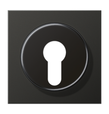 Крышка для выключателя с замком; антрацит AL2928AN Jung