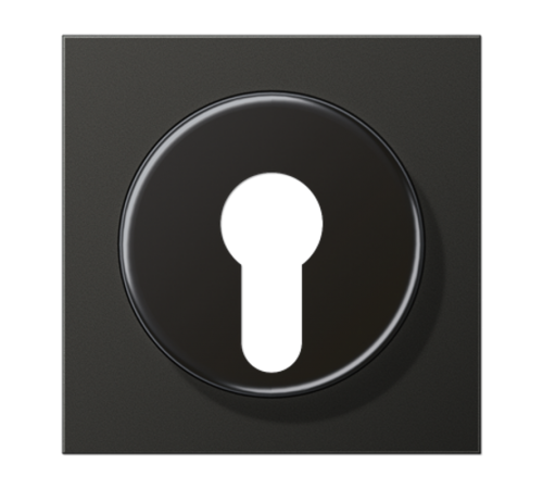 Крышка для выключателя с замком; антрацит AL2928AN Jung