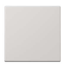 1-я клавиша для балансирных механизмов выключателей (кнопок), в комплекте с CD90HP, возможно IP44; дюропласт; светло-серый; LS990 LS990LG Jung