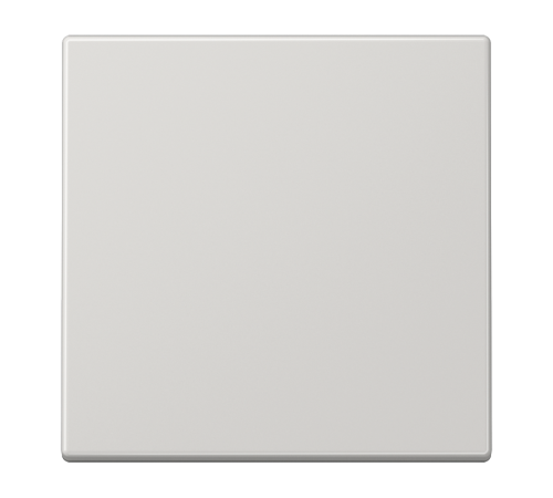 1-я клавиша для балансирных механизмов выключателей (кнопок), в комплекте с CD90HP, возможно IP44; дюропласт; светло-серый; LS990 LS990LG Jung