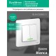 Blanca Белый С/У Выключатель 2-клавишный с подсветкой, 6А, 250В  BLNVS006511  SE