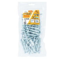 Анкер клиновой ZJE ZN8x75 (40 шт) - пакет  147541  Tecfi