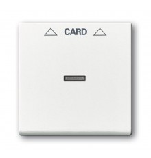 Плата центральная (накладка) для мех. карточного выкл. 2025 U, серия solo/future, цвет davos/альпийский белый  1710-0-3641   2CKA001710A3641  ABB