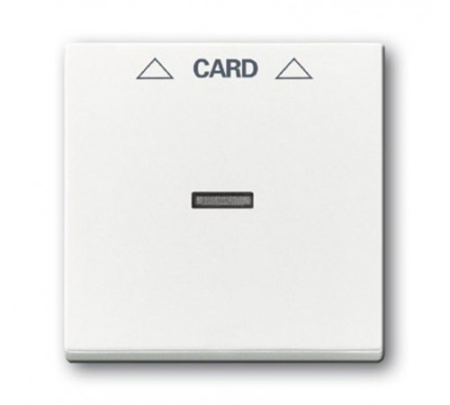 Плата центральная (накладка) для мех. карточного выкл. 2025 U, серия solo/future, цвет davos/альпийский белый  1710-0-3641   2CKA001710A3641  ABB