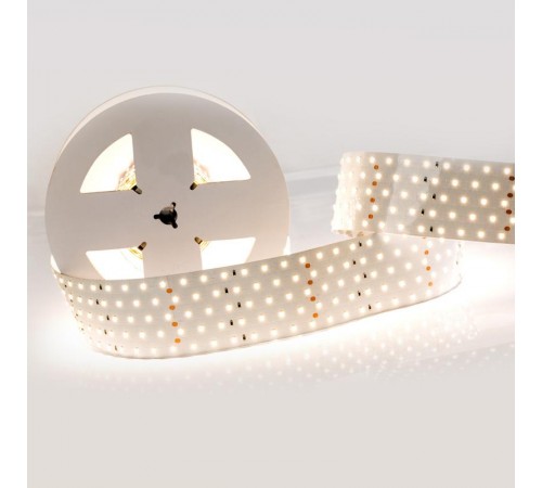 Лента светодиодная RT 2-2500 24V White6000 5x2 (2835, 875 LED, LUX) (ARL, 36 Вт/м, IP20)    019082(B)   Arlight