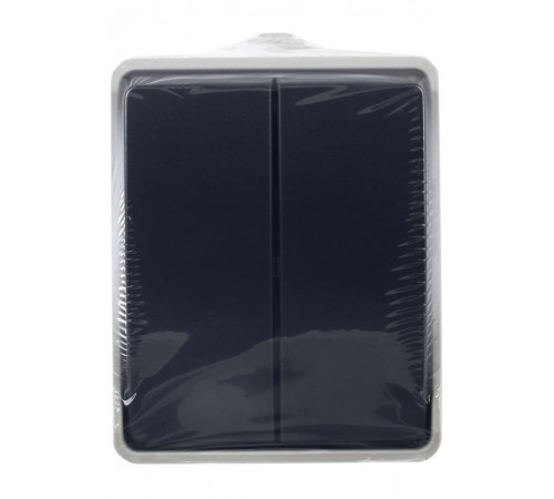 Форс Выключатель 2-клавишный О/У IP54 ВС20-2-0-ФСр EVS20-K03-10-54-DC  IEK