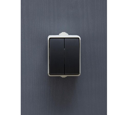 Форс Выключатель 2-клавишный О/У IP54 ВС20-2-0-ФСр EVS20-K03-10-54-DC  IEK