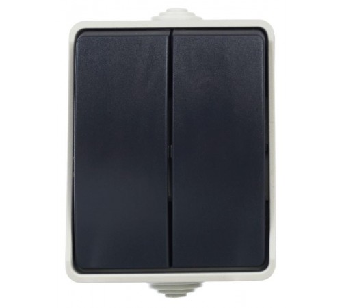 Форс Выключатель 2-клавишный О/У IP54 ВС20-2-0-ФСр EVS20-K03-10-54-DC  IEK