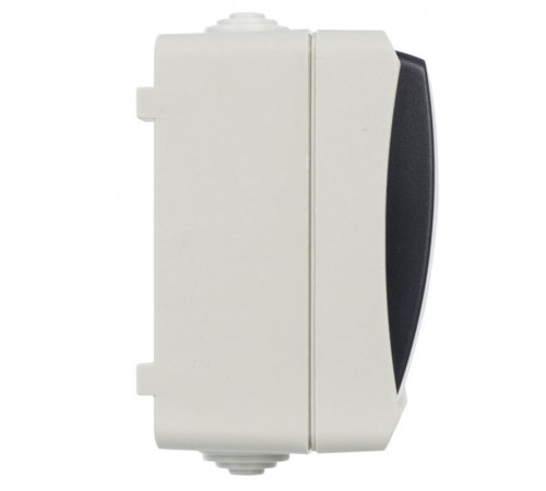 Форс Выключатель 2-клавишный О/У IP54 ВС20-2-0-ФСр EVS20-K03-10-54-DC  IEK