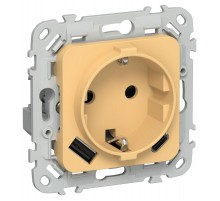FLITE Розетка с заземлением со шторками 16А с USB A+C 20Вт быстрозажимные клеммы РСЮшс11-1-ФлЗ золотарник  FI-R14-16-1-U22-020-K90  IEK