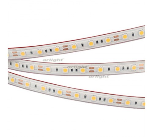 Светодиодная лента RTW 2-5000PS 12V White6000 2x (5060, 300 LED, LUX) (Arlight, 14.4 Вт/м, IP67)  022323  Arlight