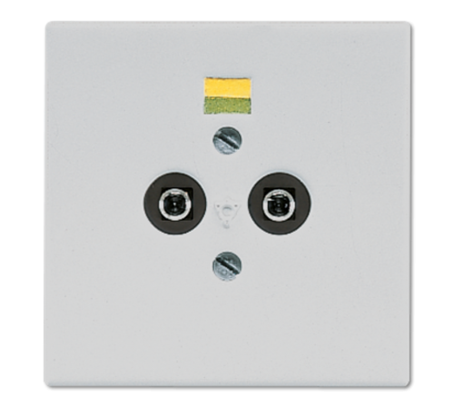 Розетка штепсельная для выравнивания потенциалов; светло-серая  LS965-2LG  Jung