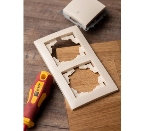 Валенсия рамка 2-местная кремовая EKF PROxima   EWM-G-302-20   EKF