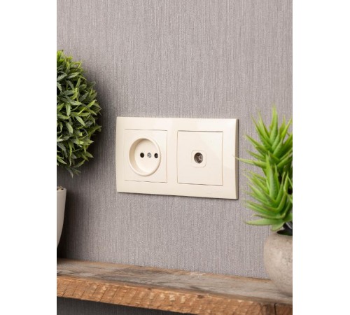 Валенсия рамка 2-местная кремовая EKF PROxima   EWM-G-302-20   EKF