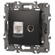14-3110-05 Розетка RJ45+TV, IP20, антрацит  Б0034318  ЭРА