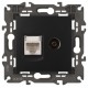 14-3110-05 Розетка RJ45+TV, IP20, антрацит  Б0034318  ЭРА