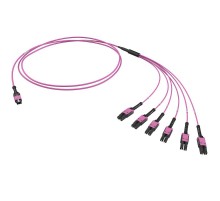 Оптическая разветвительная сборка 12ОВ 50/125 OM4, 1xMTP PRO(12)/6хLC Duplex Uniboot, 2м (предустановленная конфигурация: MTP Male, тип полярности - п