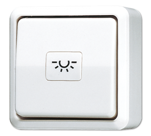 Кнопка 10A 250V ~  для накладного монтажа 634AWW Jung