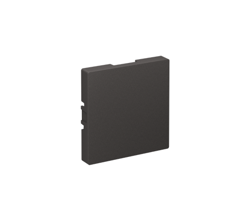 AtlasDesign Базальт Заглушка без суппорта для многопостовых рамок  ATN001409  SE