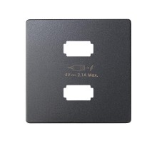 Накладка для зарядного устройства 2xUSB цвета графит S82  8221096-038  Simon