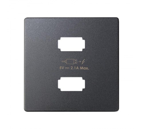 Накладка для зарядного устройства 2xUSB цвета графит S82  8221096-038  Simon
