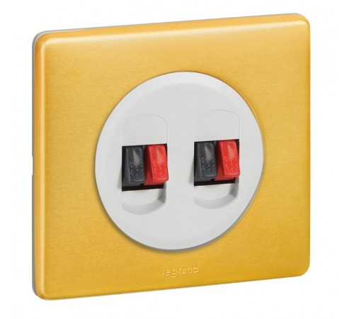 Celiane Мех Аудиорозетки 2 (1) мод  067311  Legrand