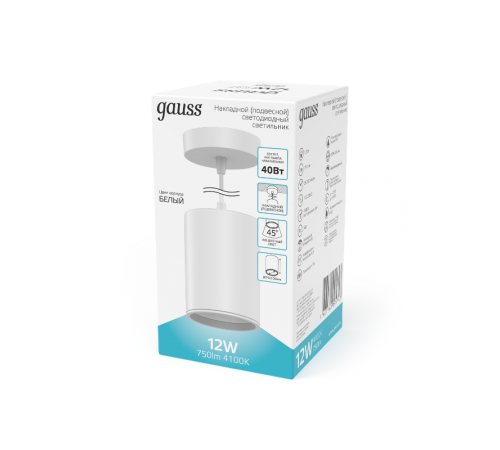 Светильник светодиодный накладной/подвесной HD044 12W (белый/белый) 4100K 79*100мм 1/20  HD044  Gauss
