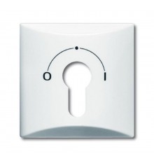 Плата центральная (накладка) с поворотной ручкой, серия Allwetter 44, цвет слоновая кость  1710-0-2249   2CKA001710A2249  ABB