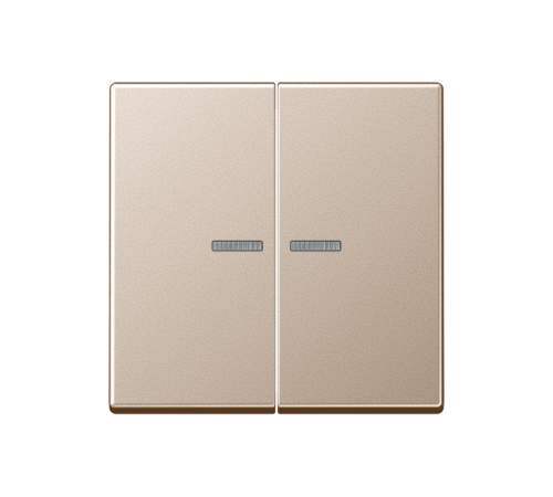 Двойная клавиша с окошками для балансирных механизмов выключателей (кнопок), в комплекте с AS90-5HP (крепежный элемент), возможно IP44; дюропласт; шам