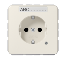 SCHUKO-розетка с полем для надписи и индикатором  CD1520BFNAKO  Jung