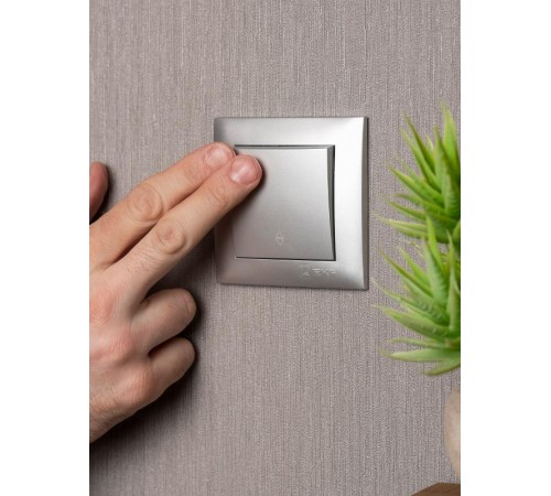 Валенсия лицевая панель выключателя проходного 1-кл. 10А сталь EKF PROxima   ESV10-L-025-30   EKF