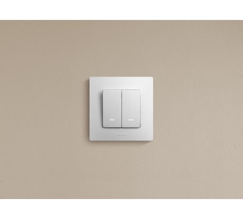 Etika Белый Выключатель 2-х клавишный с подсветкой, 10А, винтовые клеммы  672204  Legrand
