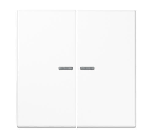 Двойная клавиша с окошками для балансирных механизмов выключателей (кнопок), в комплекте с CD95HP (крепежный элемент), возможно IP44; дюропласт; белый