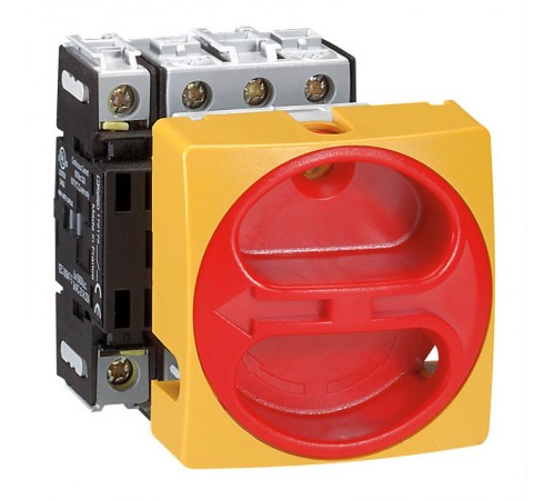 Выключатель-разъединитель -  22 - для скрытого монтажа - 4П - зажим нейтрали слева - 32 A  022138  Legrand