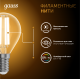 Лампа светодиодная Filament Шар 13W 1100lm 2700К Е14 LED 1/10/50  105801113  Gauss