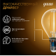 Лампа светодиодная Filament Шар 13W 1100lm 2700К Е14 LED 1/10/50  105801113  Gauss