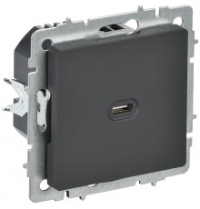 BRITE Роз. USB C 65Вт высокоскор. зар. РЮ12-1-БрГ граф.  BR-U13-065-K53  IEK