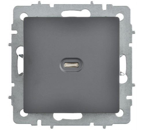 BRITE Роз. USB C 65Вт высокоскор. зар. РЮ12-1-БрГ граф.  BR-U13-065-K53  IEK