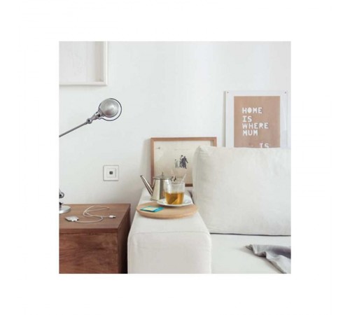 Simon 75 Механизм Коннектор 2 x USB 2.0 типа A "мама", S82, S82N, S82 Detail  7501090-039  Simon