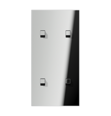 Центральная плата, 2 поста, для вертикальной установки, тумблеры 2+2, куб; металл; хром; LS1912  GCR12-25E22  Jung