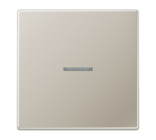 Одинарная клавиша с окошком для балансирных механизмов выключателей (кнопок), в комплекте с CD90HP (крепежный элемент), возможно IP44; металл; нержаве