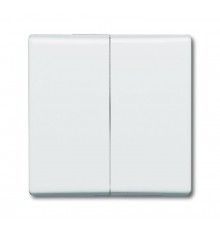 Клавиша для механизма 2-клавишного выкл./перекл./кнопки (IP44), серия Allwetter 44, цвет альпийский белый  1731-0-1601   2CKA001731A1601  ABB