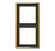 Рамка для вертикальной и горизонтальной установки, 2 поста; металл; покраска под золото; GO  GO2982  Jung