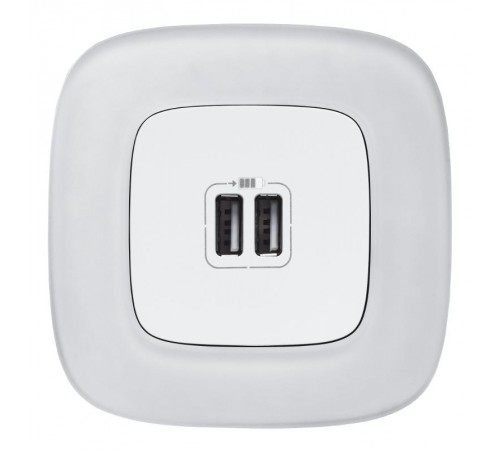 Valena ALLURE Белый Розетка 2-ая USB 240В/5В 1500мА (с лицевой панелью)  754995  Legrand