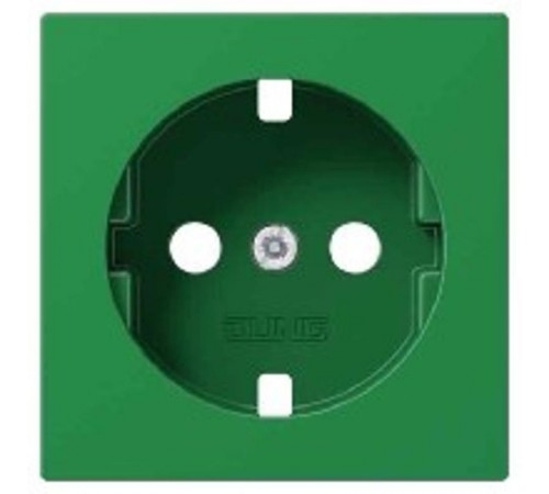Накладка на  SCHUKO® розетку A1520BFPLGN Jung