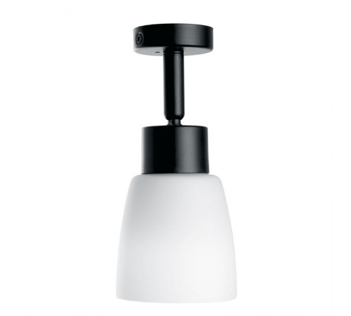Светильник-спот настенно-потолочный под лампу 1хE27, черный ML241  41512  FERON