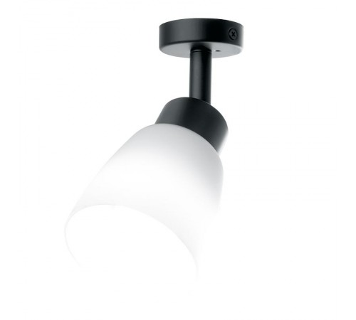 Светильник-спот настенно-потолочный под лампу 1хE27, черный ML241  41512  FERON