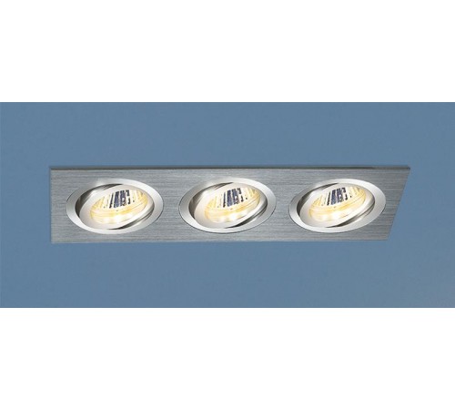 Светильник встраиваемый карданный 1011/3 MR16 CH хром  a029904  Elektrostandard